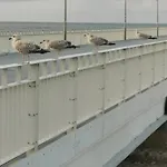 Marine Prywatny Lägenhet *