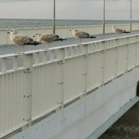 Marine Prywatny アパート *