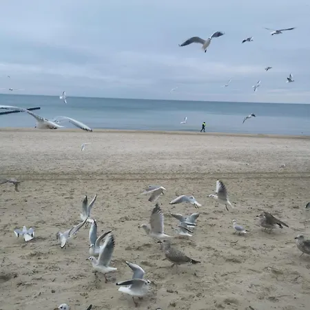 アパート Marine Prywatny コウォブジェク