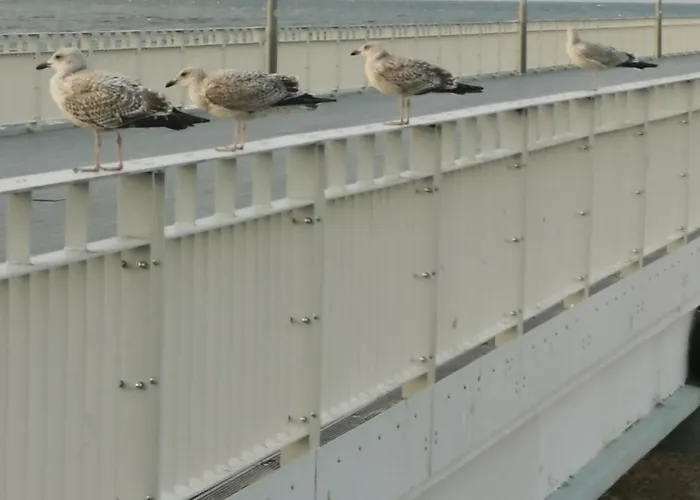 Marine Prywatny Apartmán *