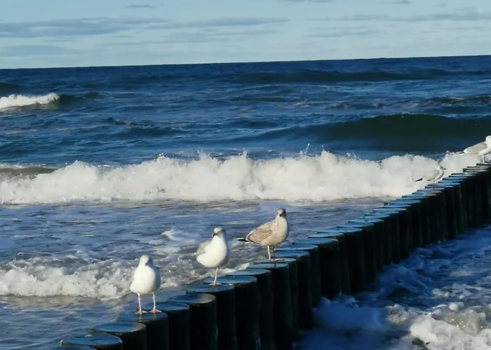 Marine Prywatny * Kolobřeh